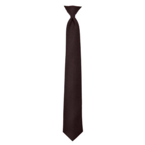 Clip-On Neck Ties - Brown